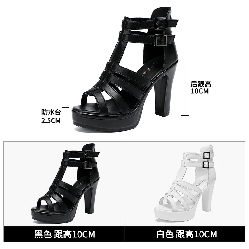 여성 샌들을위한 검투사 숙녀 신발 여름 2024 좁은  - Women'S Shoes Quality 리뷰 및 가격